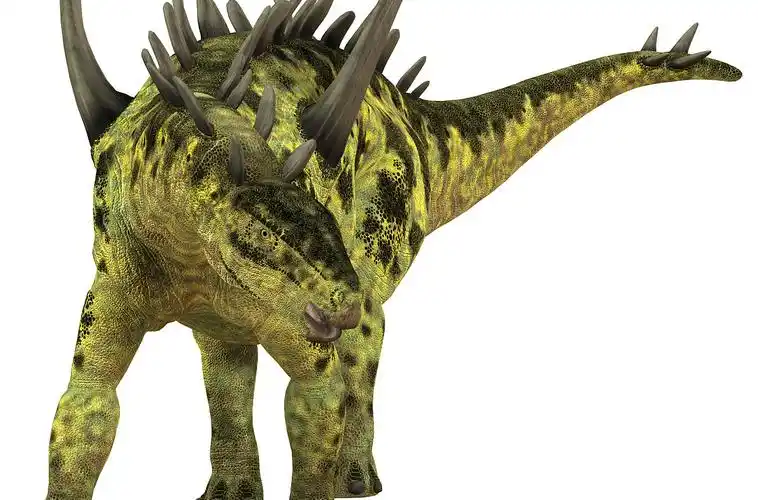 p> a href="#">巨刺龙 /a>,属蜥形纲,鸟臀目,剑龙科,巨刺龙属下恐龙