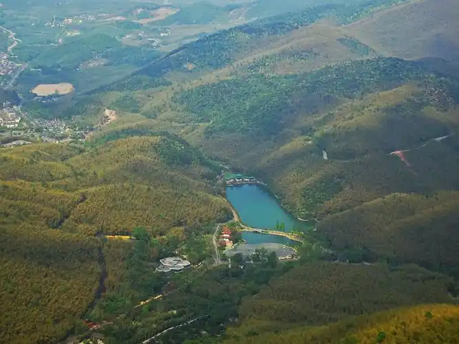 宜兴湖父镇竹海,茶园