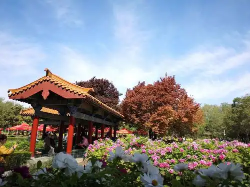 2019春日行(五)之二～洛阳中国国花园