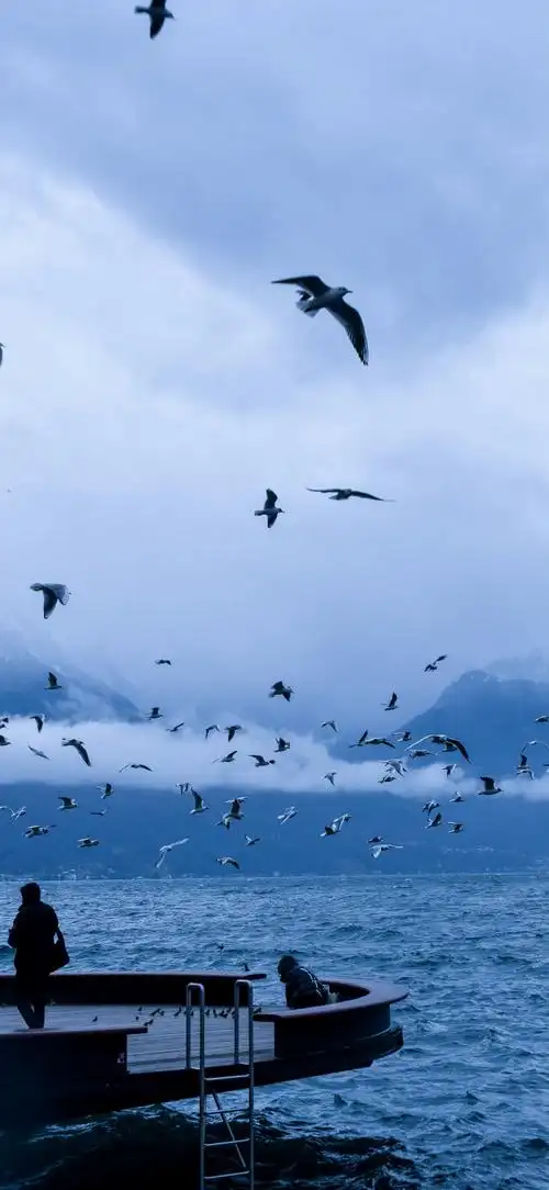 wild玖张美图#95更新玖张壁纸