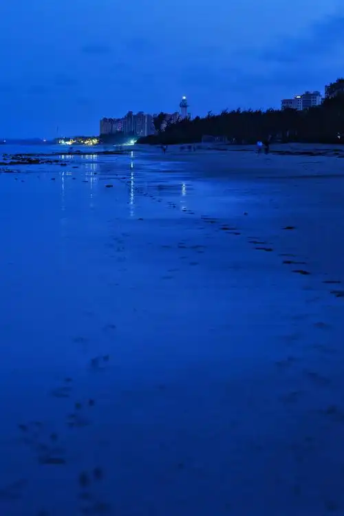 海滩的夜晚