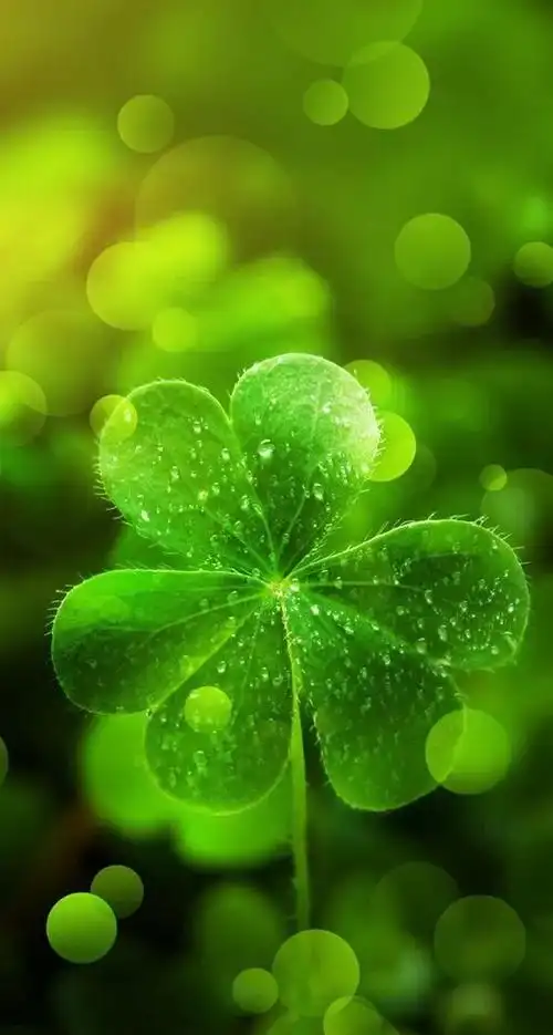 (非常棒!)|爱情|好心情|好运_网易订阅