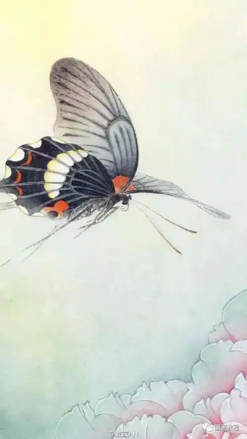 国画教程李晓明赵粉凤尾蝶工笔画法讲解到位