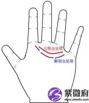 手掌中的辅助纹线——金星环