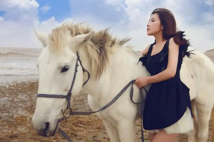 美女,马,人和宠物,人物美女与马图片 美女,马,人和宠物