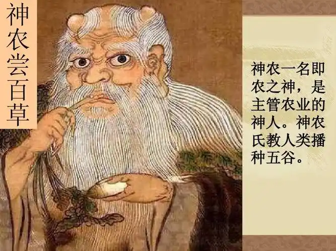 神 农 尝 百 草 神农一名即 农之神,是 主管农业的 神人.
