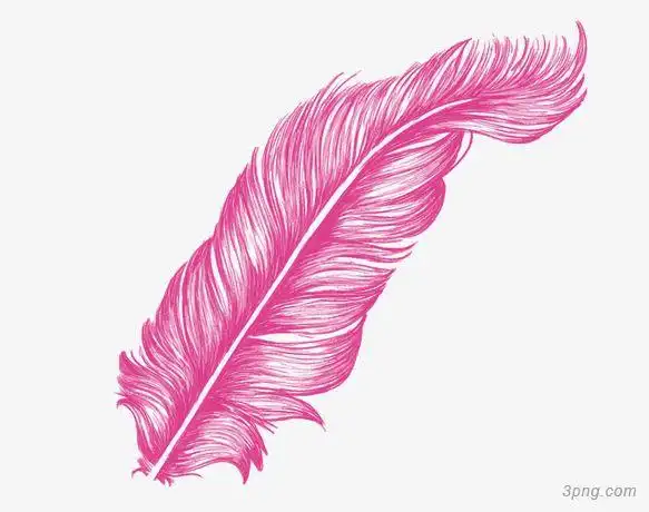 手绘粉色羽毛png素材透明免抠图片漂浮元素