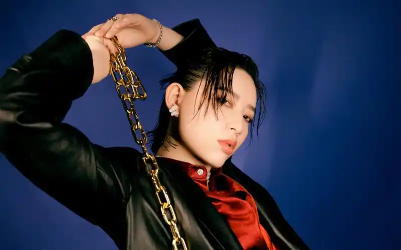 李斯丹妮酷飒性感图片桌面壁纸