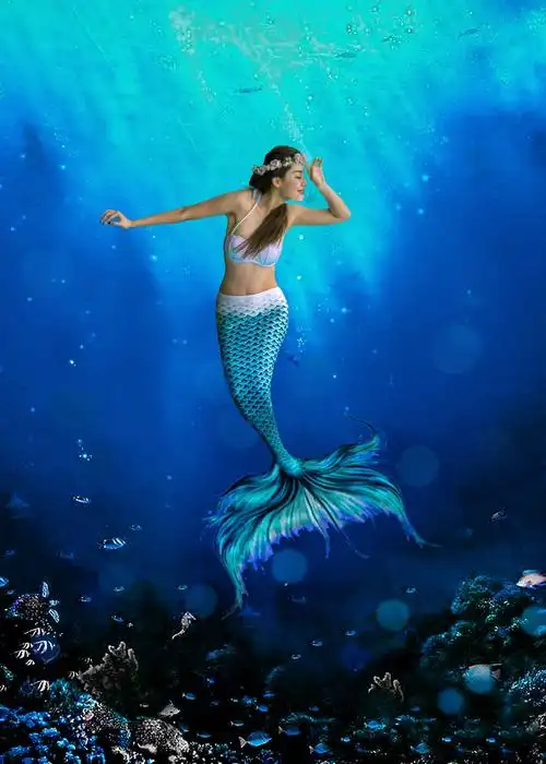 《美人鱼》 - 美篇