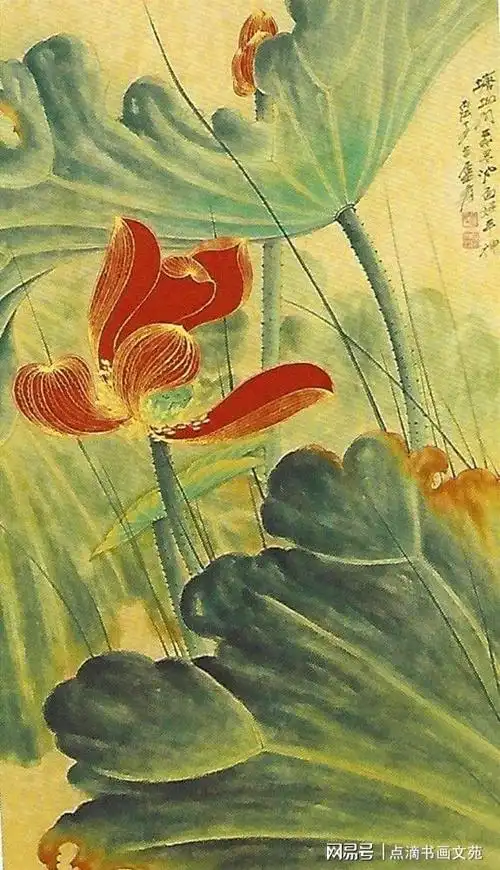 五百年来第一人——浅论张大千笔下的荷花|工笔|水墨|写意|八大山人