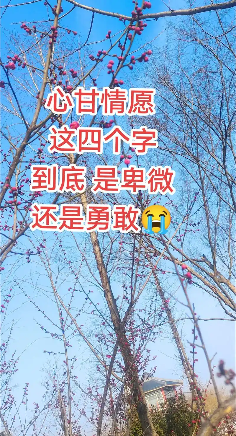 始于心甘情愿败与愿赌服输[捂脸][捂脸] 1月前·陕西 0 分享 回复朝