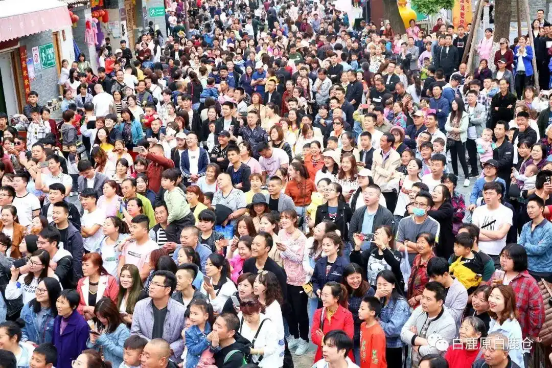 五一假期第一天,白鹿仓秩序井然,喜迎客流高峰!