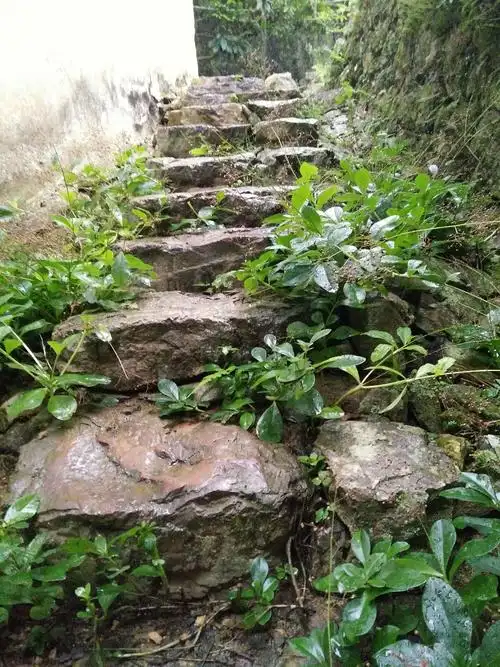 深山·老林·人家(原创诗文)