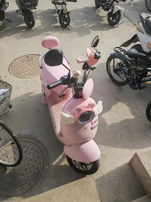 公主请上车爱玛露娜大里程48v长续航锂电池电动车