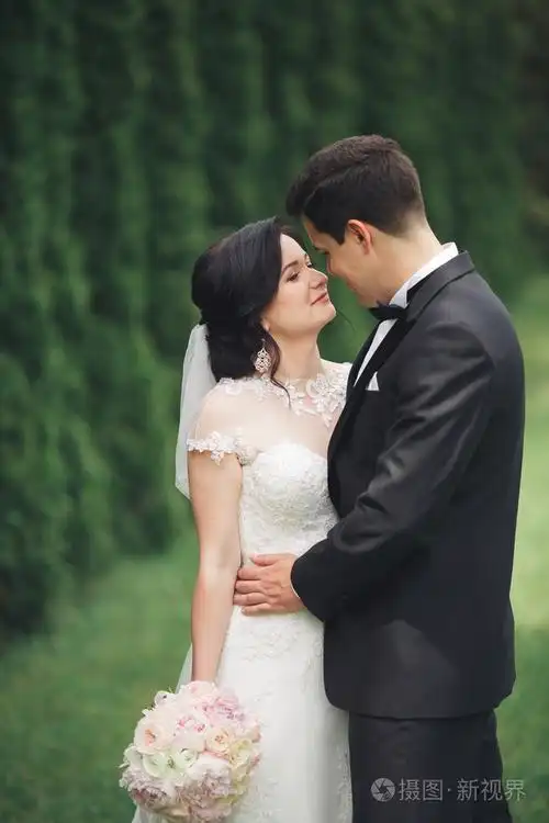 美丽浪漫新婚夫妇的新婚夫妇在公园中拥抱着日落