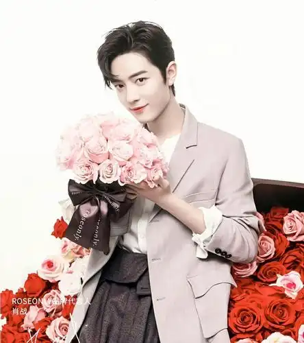 520表白日,肖战粉丝向偶像表白,不缺肉麻话语,也有冷静的劝诫_手机