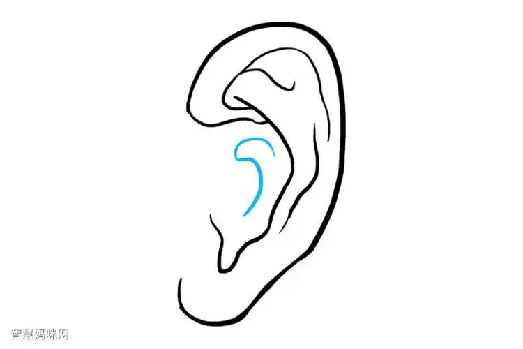 如何画耳朵