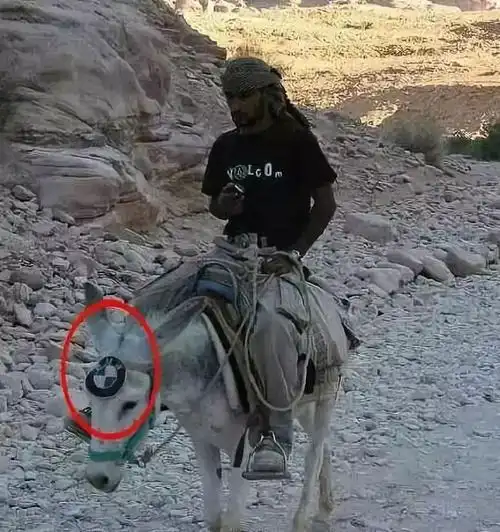 发几张不正经的照片给你看看笑死人不偿命