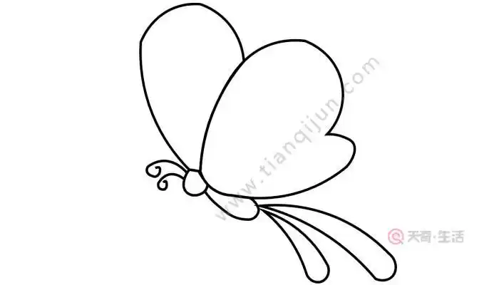 画简笔画动物蝴蝶蝴蝶的简笔画图片美丽小蝴蝶简笔画步骤蝴蝶简笔画