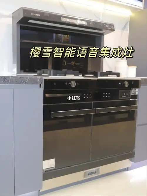 樱雪智能语音集成灶,大型真香,现