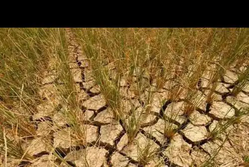 节水 惜水 爱水 从我做起
