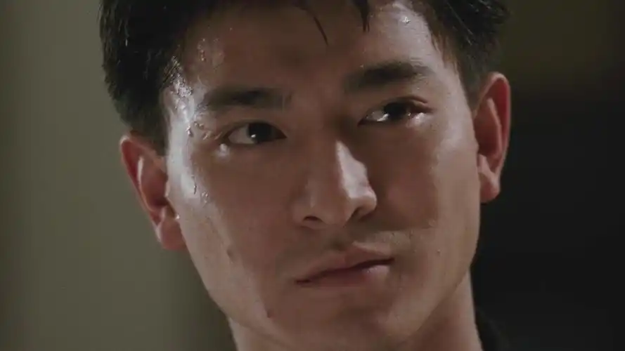 91了出了续集《至尊无上之永霸天下》,还是刘德华主演,谭咏麟换成了另