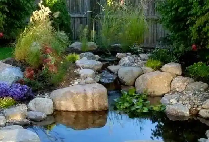 庭院生态水池如何设计花园生态水景观案例分享快学起来吧