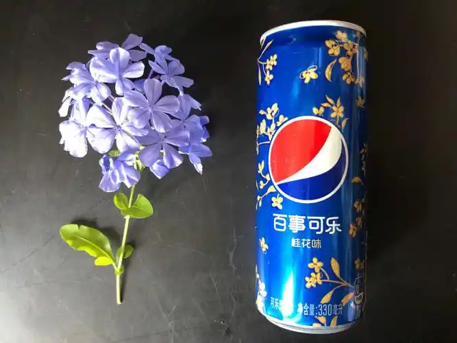 百事可乐新口味