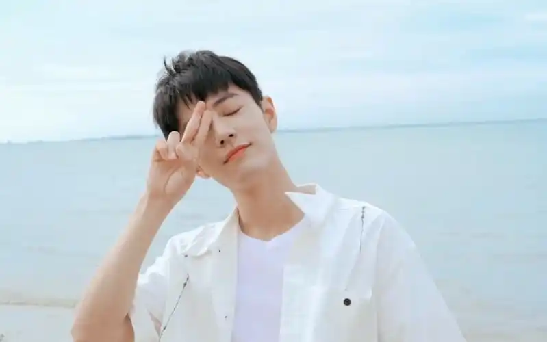 夏天的海边遇见肖战