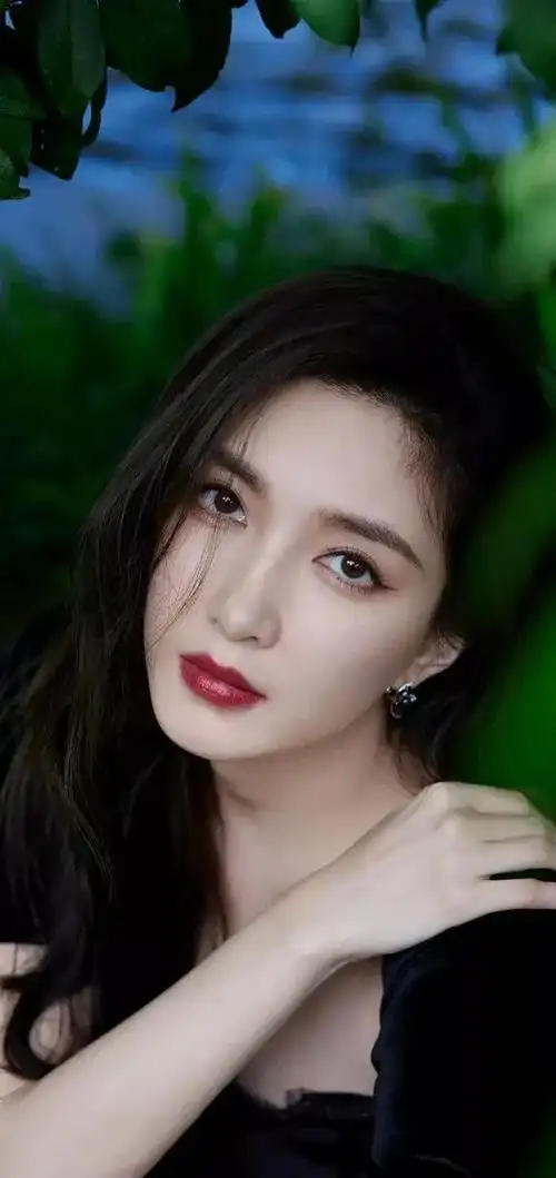 美女明星壁纸江疏影美图29