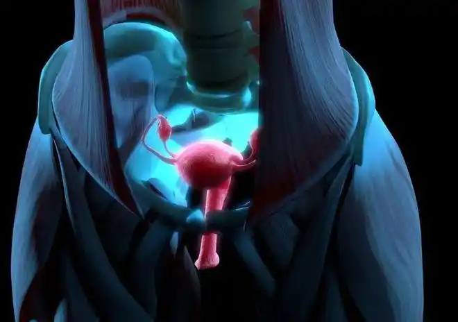 听说女人老了之后子宫都会从下面掉出来