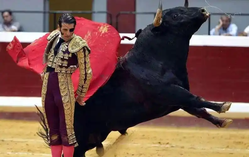 西班牙的国粹斗牛