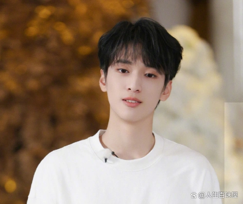 黄晓明,贾乃亮,严浩翔,岳云鹏各自创建了虚拟角色,并写下了个人技能