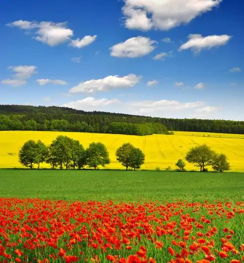 春天图片_春天图片大全_全景图片