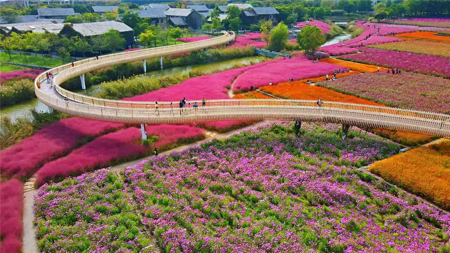 宿迁游玩攻略三台山邂逅衲田花海项王故里感受英雄豪迈