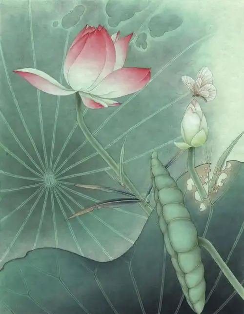 4幅工笔荷花白描染色步骤图