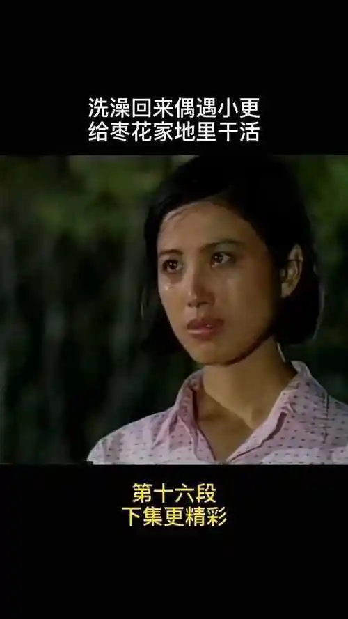 经典怀旧电视剧篱笆女人和狗