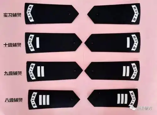 最新辅警肩章有创意