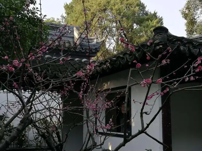 亭台楼阁依梅花
