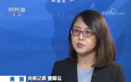 央视网消息:国际货币基金组织货币和资本市场部部门主管托比亚斯·阿