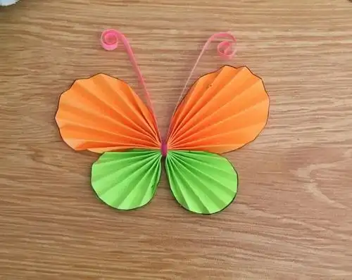 今天,带大家做一个简单而有趣的手工活动《美丽的蝴蝶》