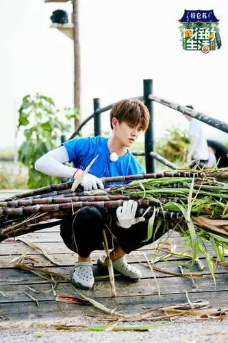 综艺节目向往的生活