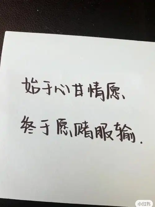 始于心甘情愿终于愿赌服输