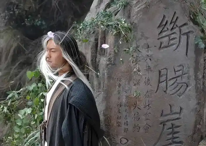 襄阳城大战后,两人选择了彻底隐退江湖,成为了江湖传说中的神雕侠侣