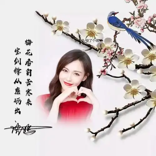 编号3446微信头像姓氏头像梅花简单素净