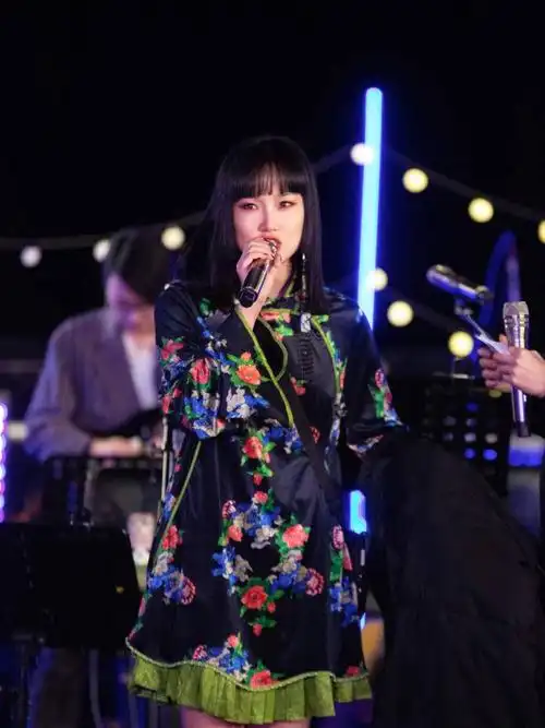 歌手黄龄简介( 上海的歌手黄龄)