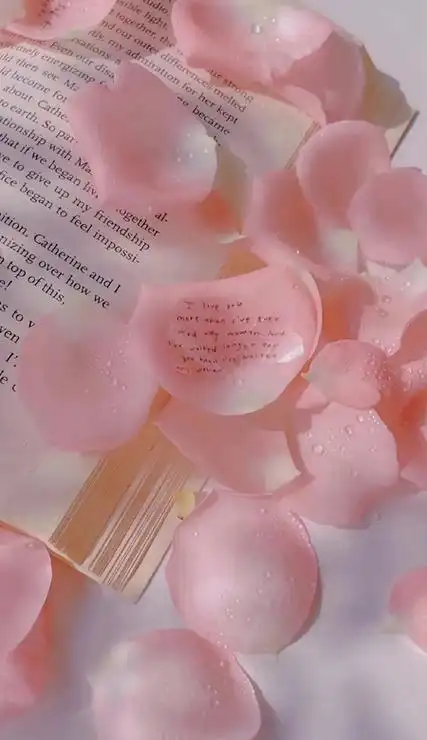 粉色系壁纸少女心拉满很有质感日子慢慢来生活慢慢过舒服就好