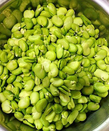 新鲜蚕豆米 不带皮  一包1斤9两左右 京津冀68包邮顺丰