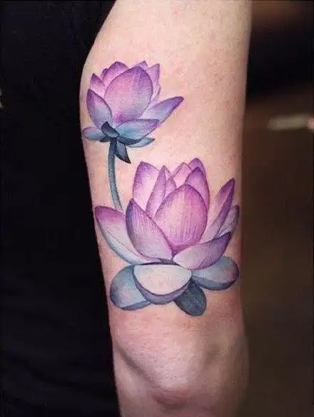 出淤泥而不染的粉红荷花纹身图案