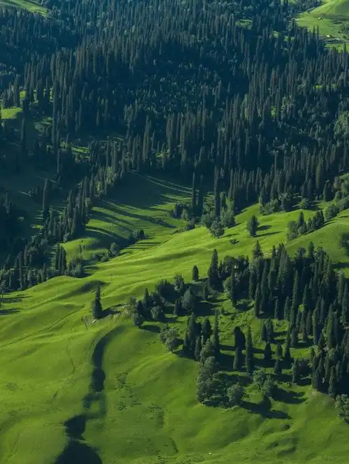 今天来点绿色保持好心情,这组绿色护眼美景壁纸请收好～ ?